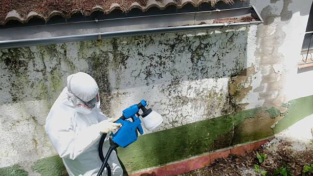 Trusted Mold Testing service in Ashland, VA - Cheap Mold Removal